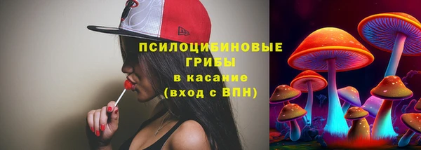 кристаллы Покачи