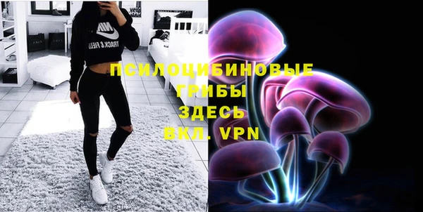 кристаллы Покачи